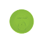 Lime Green Lime Green