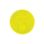 Neon Yellow Neon Yellow